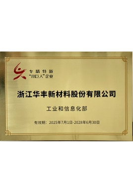 专精特新“小巨人”企业